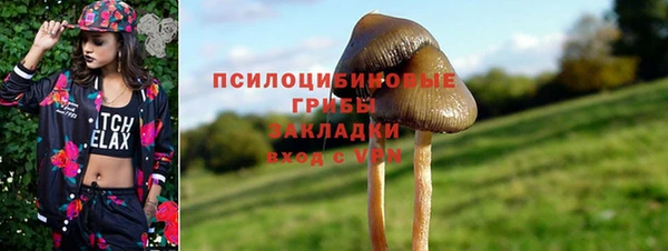 мдпв Медногорск