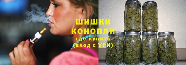 молекула духа Мегион