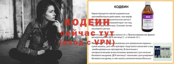 крисы Анжеро-Судженск