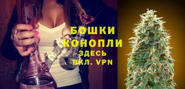 бошки Медвежьегорск