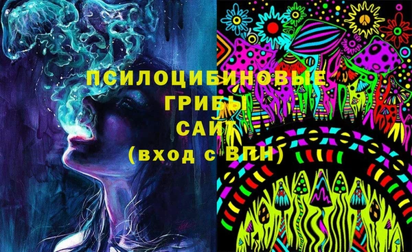 молекула духа Мегион