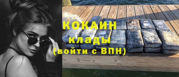 молекула духа Мегион