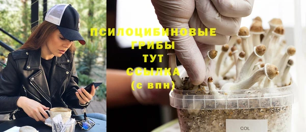 молекула духа Мегион