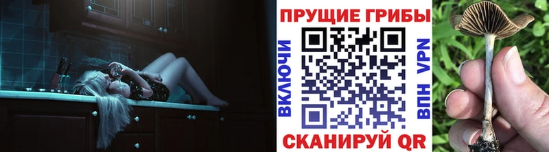 Псилоцибиновые грибы MAGIC MUSHROOMS  Невинномысск 