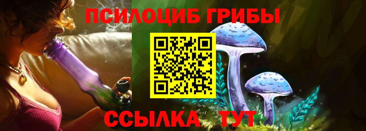 Псилоцибиновые грибы мицелий  Вход с VPN  Невинномысск  Галлюциногенные грибы мицелий 