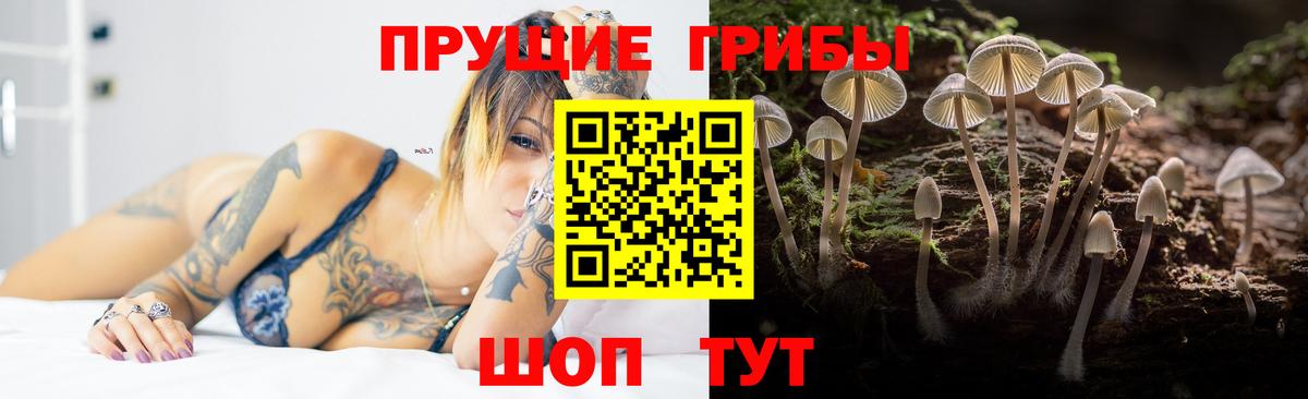 Галлюциногенные грибы Magic Shrooms Невинномысск